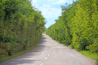 沥青路和绿色路边与灌木空高速公路杂草丛生的高速公路路与密集的植被国自然夏天景观与沥青路和绿色路边沥青路和绿色路边与灌木空高速公路