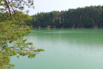 美丽的森林湖与<strong>翡翠</strong>水的松森林美妙的自然视图水全景野生自然森林湖与<strong>翡翠</strong>水美丽的湖全景