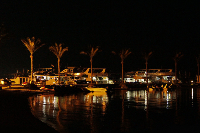 晚上全景与视图照亮棕榈树海岸热带度假胜地美丽的全景晚上海海岸与灯晚上海滩景观晚上全景与视图照亮棕榈树海岸