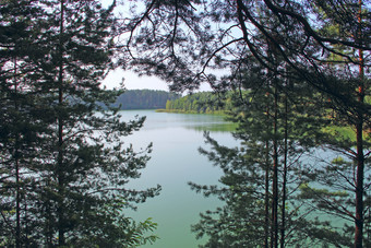 美丽的森林湖与<strong>翡翠</strong>水的松森林美妙的自然视图水全景野生自然森林湖与<strong>翡翠</strong>水美丽的水全景