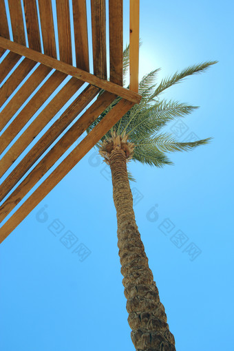太阳射线以上分支机构棕榈树和<strong>凉亭</strong>棕榈树海滩旅行概念热带娱乐假期热带地区生活方式概念放松概念非洲太阳太阳射线以上分支机构棕榈树和<strong>凉亭</strong>放松概念