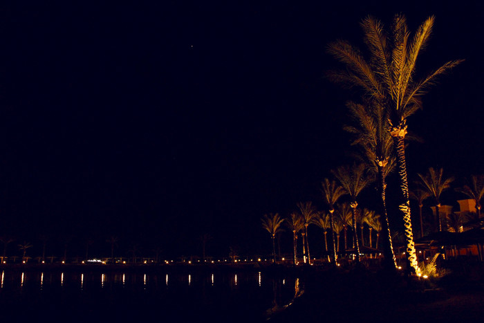 晚上全景与视图照亮棕榈树海岸赫尔加达热带度假胜地美丽的全景晚上海海岸与灯晚上海滩景观晚上全景与视图照亮棕榈树海岸热带度假胜地