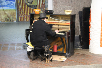 无家可归的人男人。玩计划街包围流浪狗音乐家玩计划在户外钢琴家收入他的生活玩与计划无家可归的人男人。玩计划街包围流浪狗