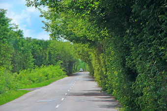 沥青路和绿色<strong>路边</strong>与灌木空高速公路杂草丛生的高速公路路与密集的植被国自然夏天景观与沥青路和绿色<strong>路边</strong>沥青路和绿色<strong>路边</strong>与灌木空高速公路