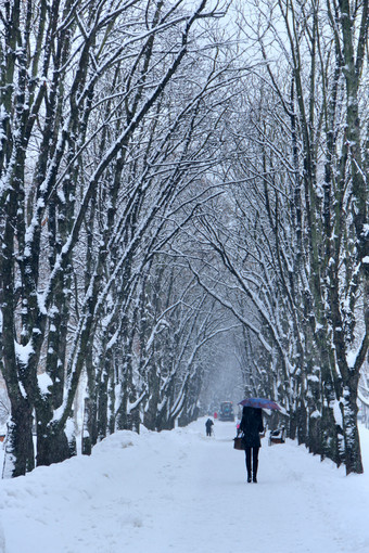 孤独的女孩下伞走冬天公园在降雪美丽的冬天公园与树和路径女孩走城市公园冬天城市场景与雪公园城市而降雪孤独的女孩下伞走冬天公园在降雪