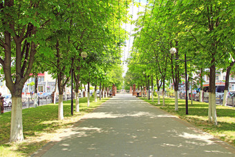 街白俄罗斯城市高美尔与长椅树和挂花环人休息公园与长椅和花环美丽的城市公园夏天的地方为休息人休息公园与长椅和花环的地方为休息