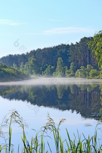早....日出在的河美妙的夏天景观的河覆盖与雾黎明森林反映了的河夏天河覆盖与雾黎明森林反映了的河夏天