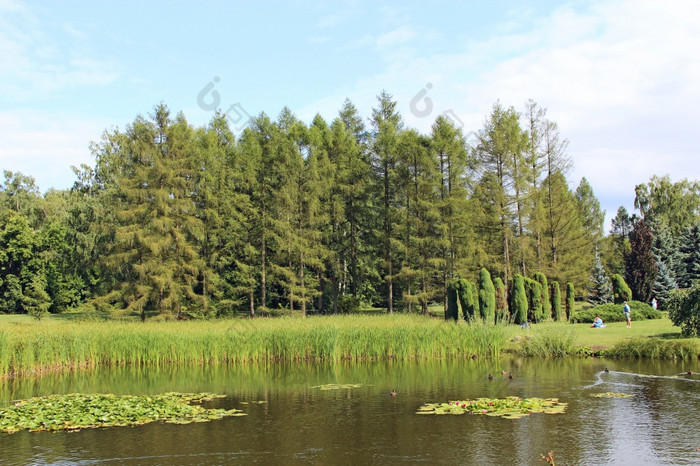 人花的周末自然附近的湖人休息附近池塘与鸭子在检疫新冠病毒隔离自然夏天假期的海岸美丽的湖人花的周末自然附近的湖新冠病毒隔离自然