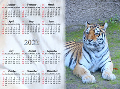 日历为与图像老虎老虎象征一年周日开始规划师为业务野生老虎象征首页组织者下一个一年日历为与图像老虎老虎象征一年