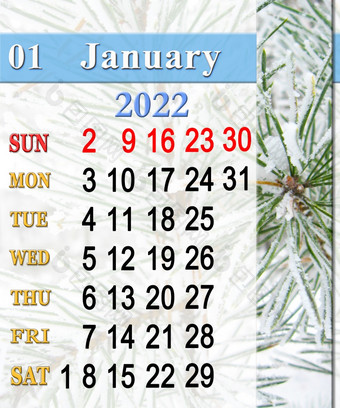 日历为1月与新一年rsquo树第一个月冬天与分支松针松覆盖雪日历每月组织者日历1月周一开始日历为1月与新一年rsquo树针松覆盖雪