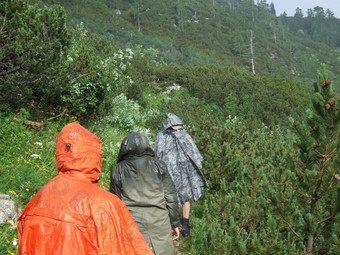 集团游客雨衣徒步旅行山旅行概念人旅行通过森林和山集团游客雨衣徒步旅行山旅行概念