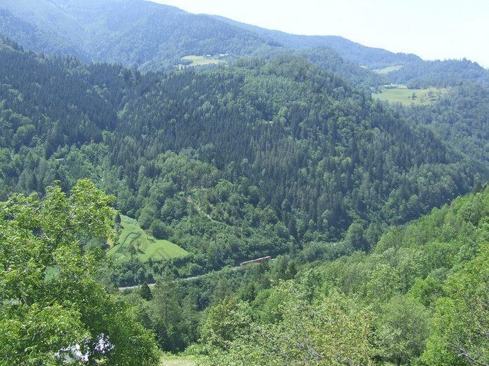 乘客火车骑在山山景观铁路运输山景观与山覆盖与绿色森林谷之间的山山全景乘客火车骑在山山景观