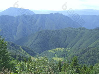 山景观生活山景观与山覆盖与绿色森林谷之间的山山全景景观与山覆盖与绿色森林山全景