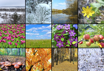 日历日程安排与照片自然为每一个月空白为办公室日历与色彩斑斓的照片自然照片与日历模板与图片日历日程安排与十二个照片自然模板与图片