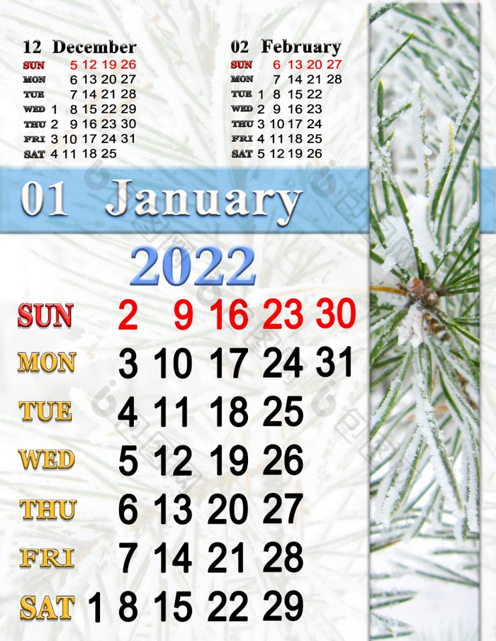 日历为1月与松分支覆盖雪照片日历简单的日历可打印的信大小办公室规划师周日开始日历为1月与松分支覆盖雪照片日历