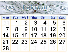 2月日历为组织者计划和提醒自然背景日历为2月与丝带松针每月日历2月日历为组织者计划和提醒自然背景