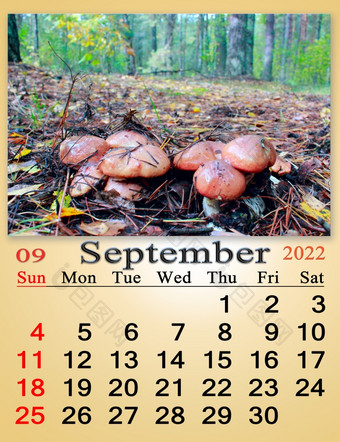 日历为9月与图像与成熟的红色的苹果的分支树每月日历日历为9月与图像蘑菇牛肝菌属badius日历为9月与图像蘑菇牛肝菌属badius