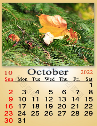 10月日历为组织者计划和<strong>提醒</strong>自然背景日历为10月与图像干黄色的叶子针新一年树森林日历首页规划师10月日历为组织者计划和<strong>提醒</strong>自然背景