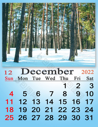 美丽的日历为12月与图像眨眼松森林覆盖雪新一年月与松木覆盖与层雪首页<strong>规划</strong>师天气calensar日历为12月与<strong>图片</strong>与树分支覆盖与霜
