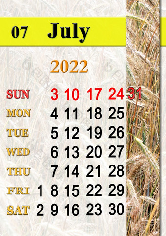 7月日历为组织者计划和提醒自然背景日历为7月与图像与小穗小麦的场每月日历日历为7月与图像与小穗小麦的场