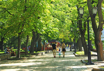 切乌克兰8月人有休息城市公园与大树夏天假期家庭假期旅行概念绿色公园城市家庭取休息夏天人有休息城市公园与大树绿色公园城市