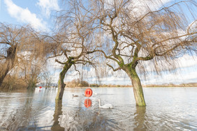 公园淹没了的泰晤士河河附近温莎