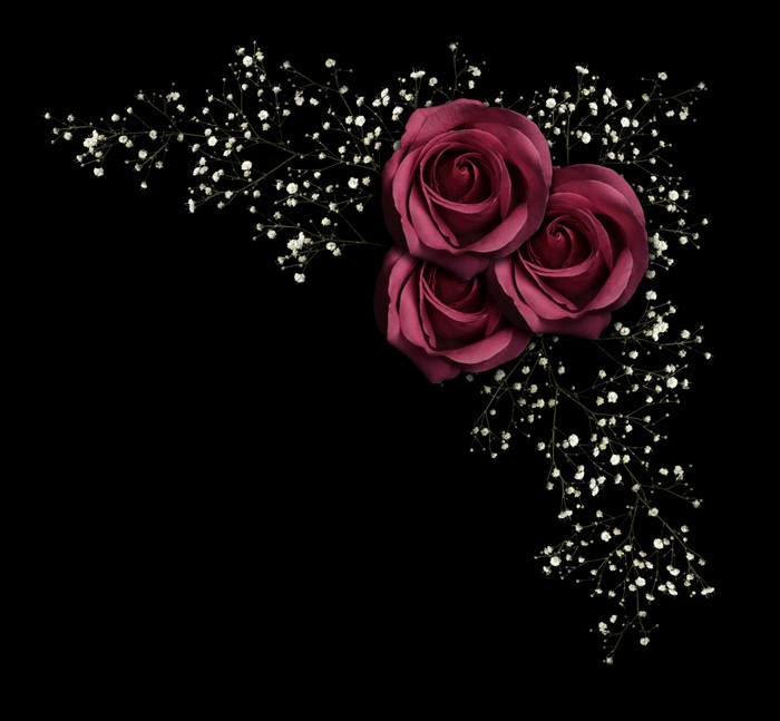 花角落里点缀与粉红色的玫瑰和分支与小白色花孤立的黑色的背景