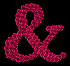 浪漫的概念图像&象征使红色的玫瑰孤立的黑色的背景设计元素为爱情人节主题