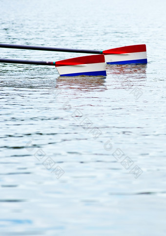 两个<strong>划船</strong>桨与红色的白色而且蓝色的叶片触碰的水之前的开始<strong>划船</strong>比赛