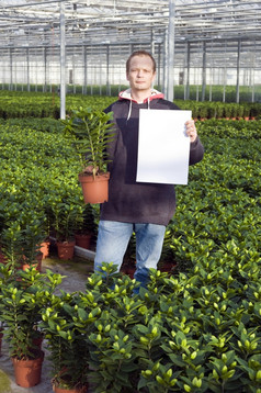 快乐男人。持有盆栽植物而且空白标志内部巨大的温室