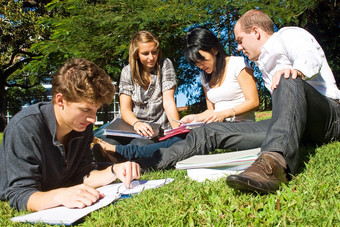 四个大学学生比较他们的笔记从大学坐着的公园美丽的一天