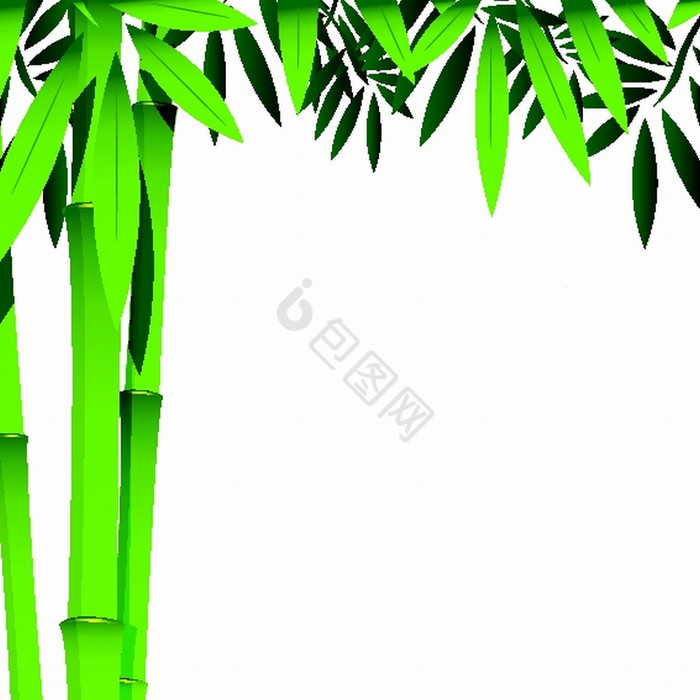 竹子图片