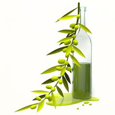 插图橄榄分支和瓶与石油白色背景