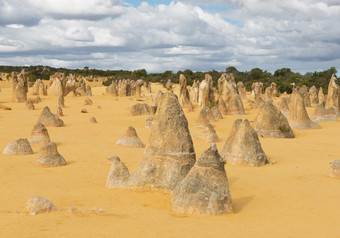 黄色的沙子沙丘和石灰石柱子尖塔沙漠的南邦国家公园西方australiaselective焦点的前面岩石