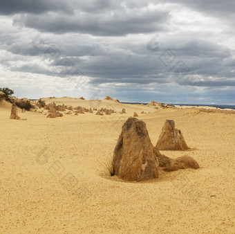 黄色的沙子沙丘和石灰石<strong>柱子</strong>尖塔沙漠的南邦国家公园西方澳大利亚