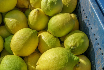 有机柠檬柠檬柑橘类水果篮子
