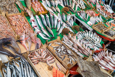 各种各样的鱼的鱼商店伊斯坦布尔