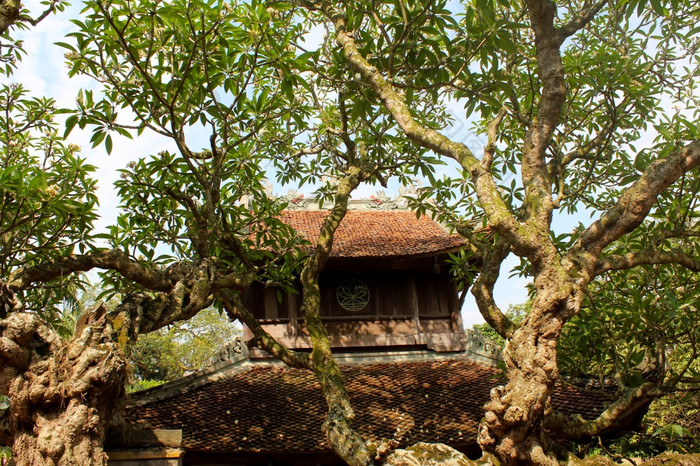 寺庙屋顶