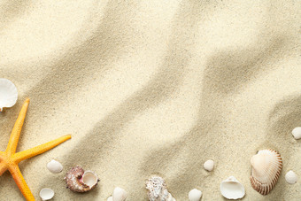 沙子背景与海星和贝壳海滩纹理复制空间前视图沙子背景与海星和贝壳