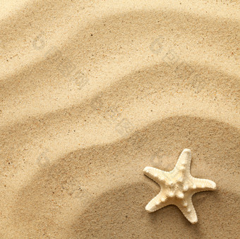 海星波浪沙子背景视图从以上平躺