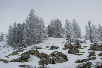 白雪<strong>覆盖</strong>的森林的<strong>山坡</strong>上的山冬天景观