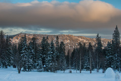 白雪覆盖的森林的山黎明白雪覆盖的森林的山黎明冬天景观