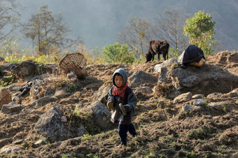 <strong>喜马拉雅</strong>山脉尼泊尔3月光着脚尼泊尔男孩的花园珠穆朗玛峰地区<strong>喜马拉雅</strong>山脉尼泊尔3月