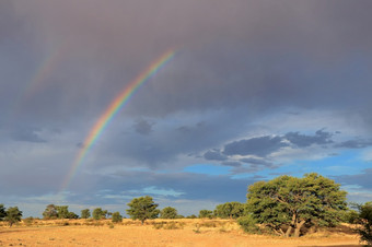 <strong>风景</strong>优美的景观与色彩斑斓的彩虹狂风暴雨的天空喀拉哈里沙漠沙漠南<strong>非洲</strong>