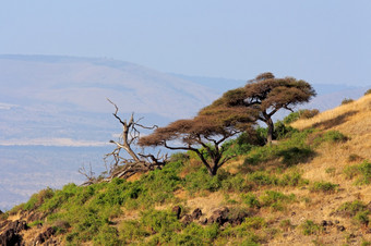 景观与非洲光秃秃安博塞利国家公园肯尼亚