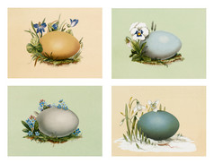 古董画复活节明信片与花和鸡蛋英寸