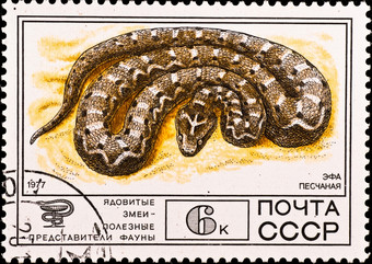苏联约邮资邮票显示有毒的蛇约