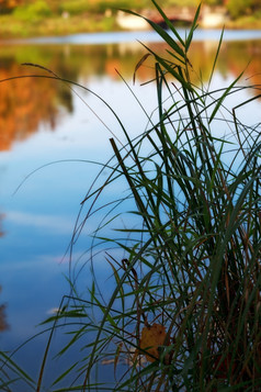 草的湖秋天