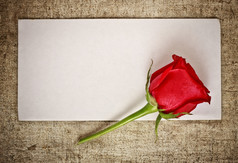红色的玫瑰老帆布而且空白信封模板
