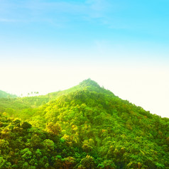美丽的森林山高角视图泰国